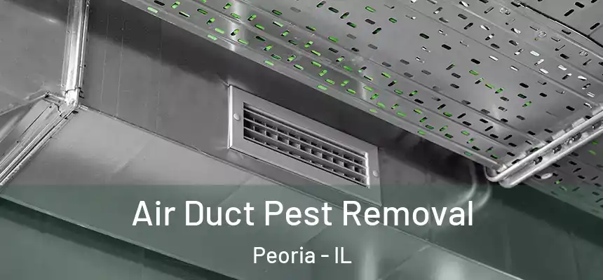  Air Duct Pest Removal Peoria - IL