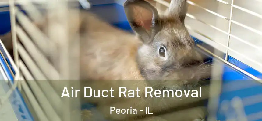  Air Duct Rat Removal Peoria - IL