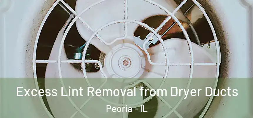  Excess Lint Removal from Dryer Ducts Peoria - IL