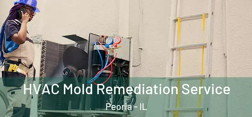  HVAC Mold Remediation Service Peoria - IL