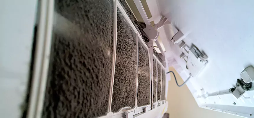 Preventive Air Duct Bacteria Removal in Peoria