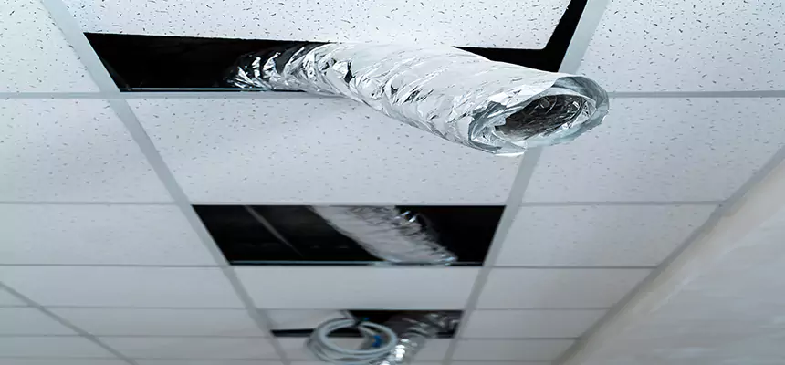 Our Air Duct Pet Hair Removal Services in Peoria, IL