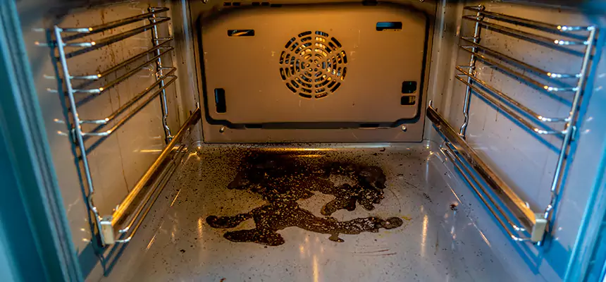 Our Dryer Vent Mold Cleaning Services in Peoria, IL