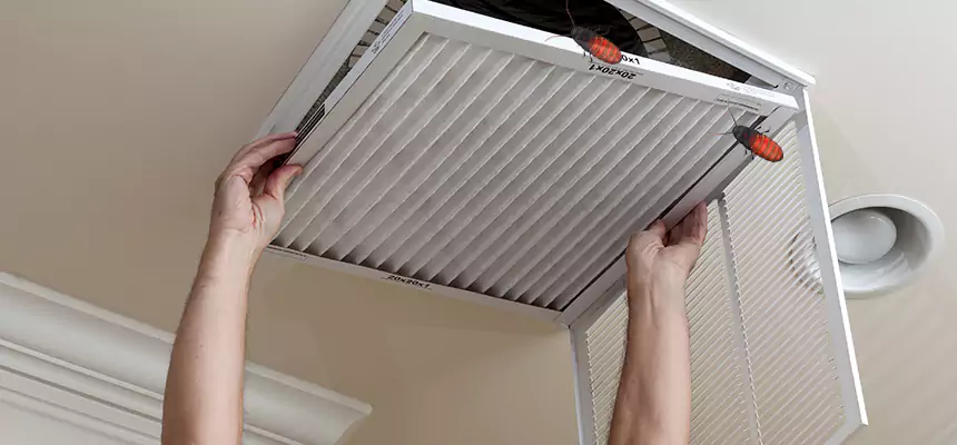 Our Insect Removal from Air Ducts Services in Peoria, IL