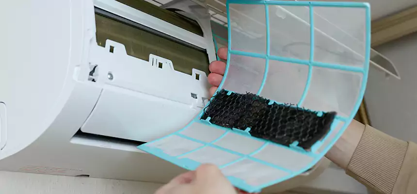 Gentle Ductwork Odor-Control Pet Dander Duct Cleaning in Peoria, IL