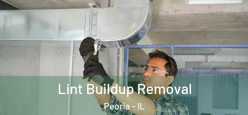  Lint Buildup Removal Peoria - IL