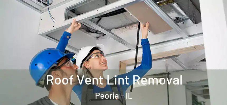  Roof Vent Lint Removal Peoria - IL