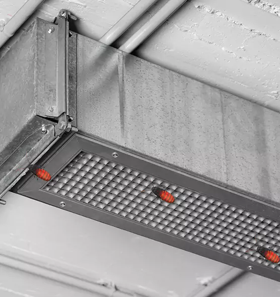 About Air Duct Cockroach Removal in Peoria, IL