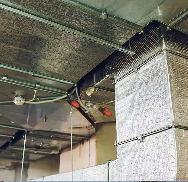 Why Homeowners & Businesses Trust Us in Peoria, IL?