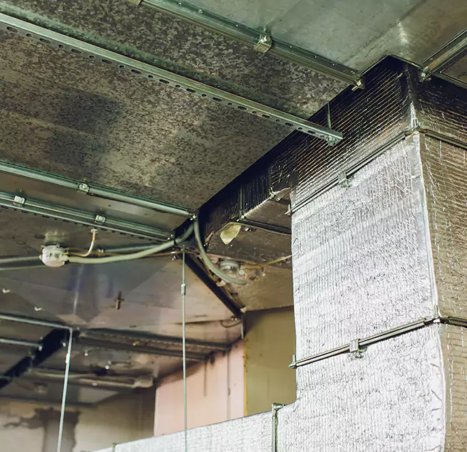 Why Homeowners & Businesses Trust Us in Peoria, IL?